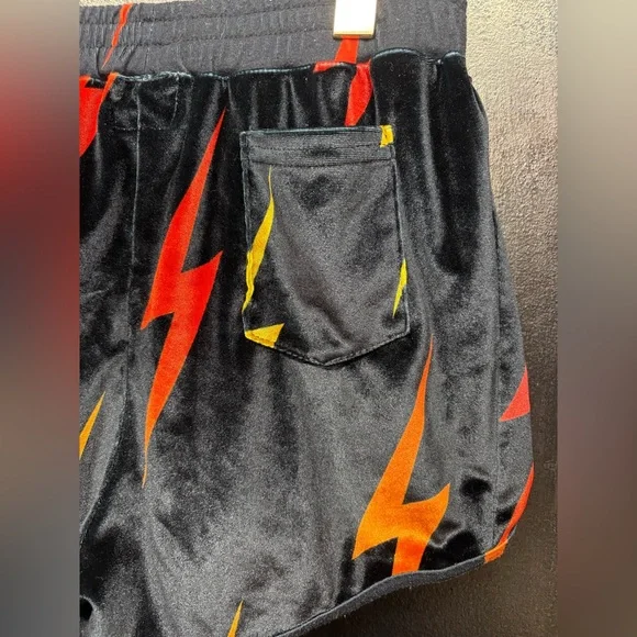 Rare Aviator Nation Velvet Shorts - Picture 5 of 12